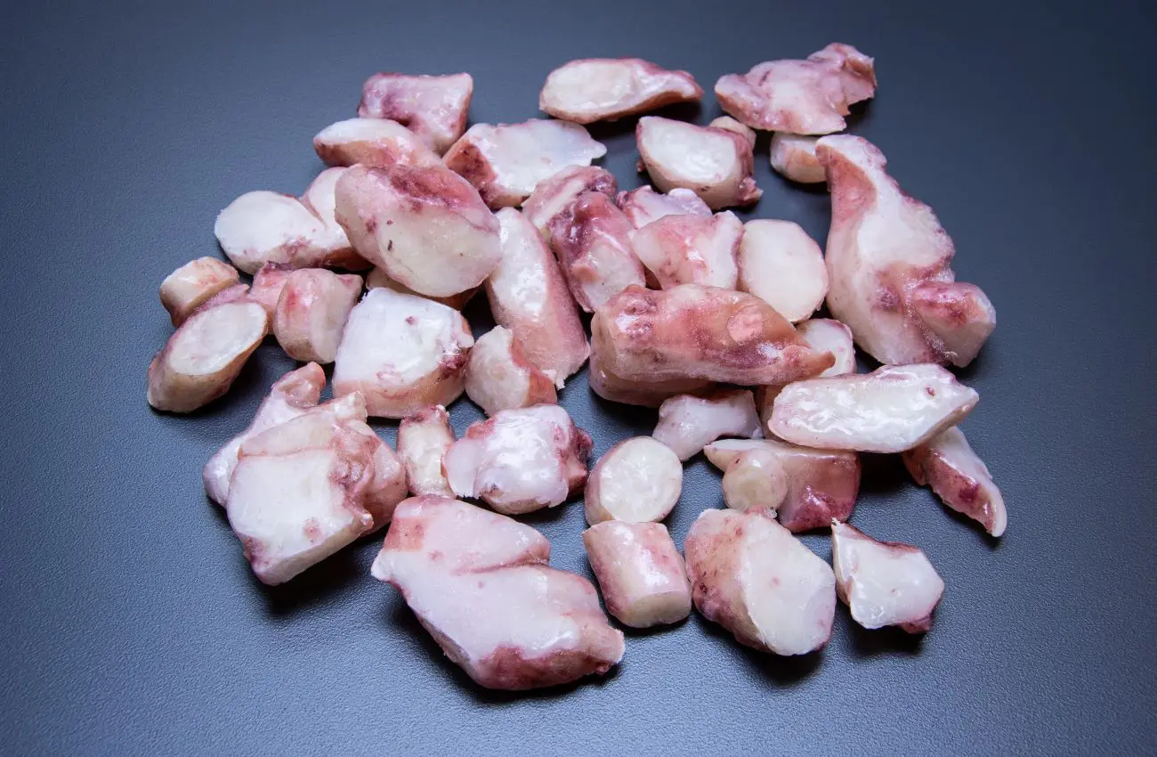 Tentacules de calamar coupées cuites IQF
