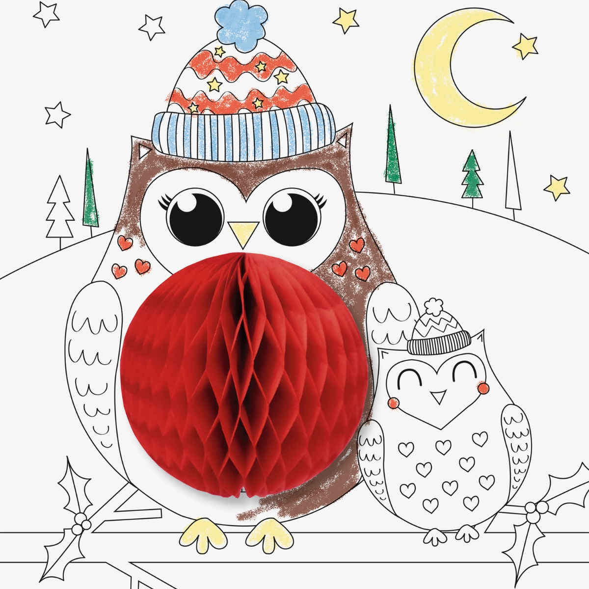 Kit de Coloriage 3D – Animaux de l’Hiver – Image 3