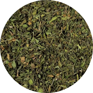 Menthe Nana – Menthe Verte coupée