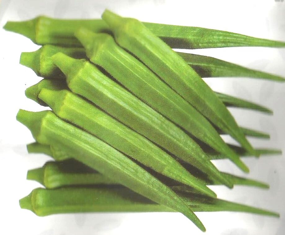 Semences de gombo