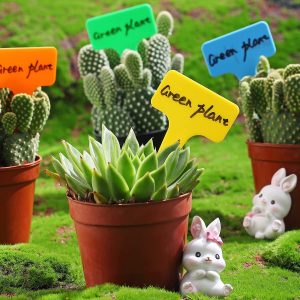 100 pcs 5 Couleurs, Étiquettes de Légumes Durables