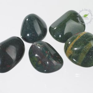 HELIOTROPE PIERRE ROULEE