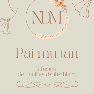 Infusion de feuilles de Thé blanc d’origine Pai Mu Tan 100g