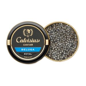 Calvisius – Beluga