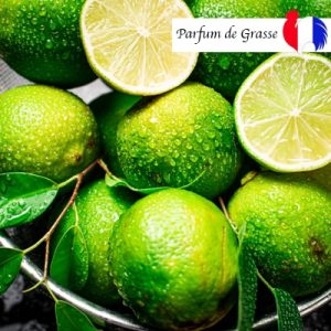 CITRON VERT