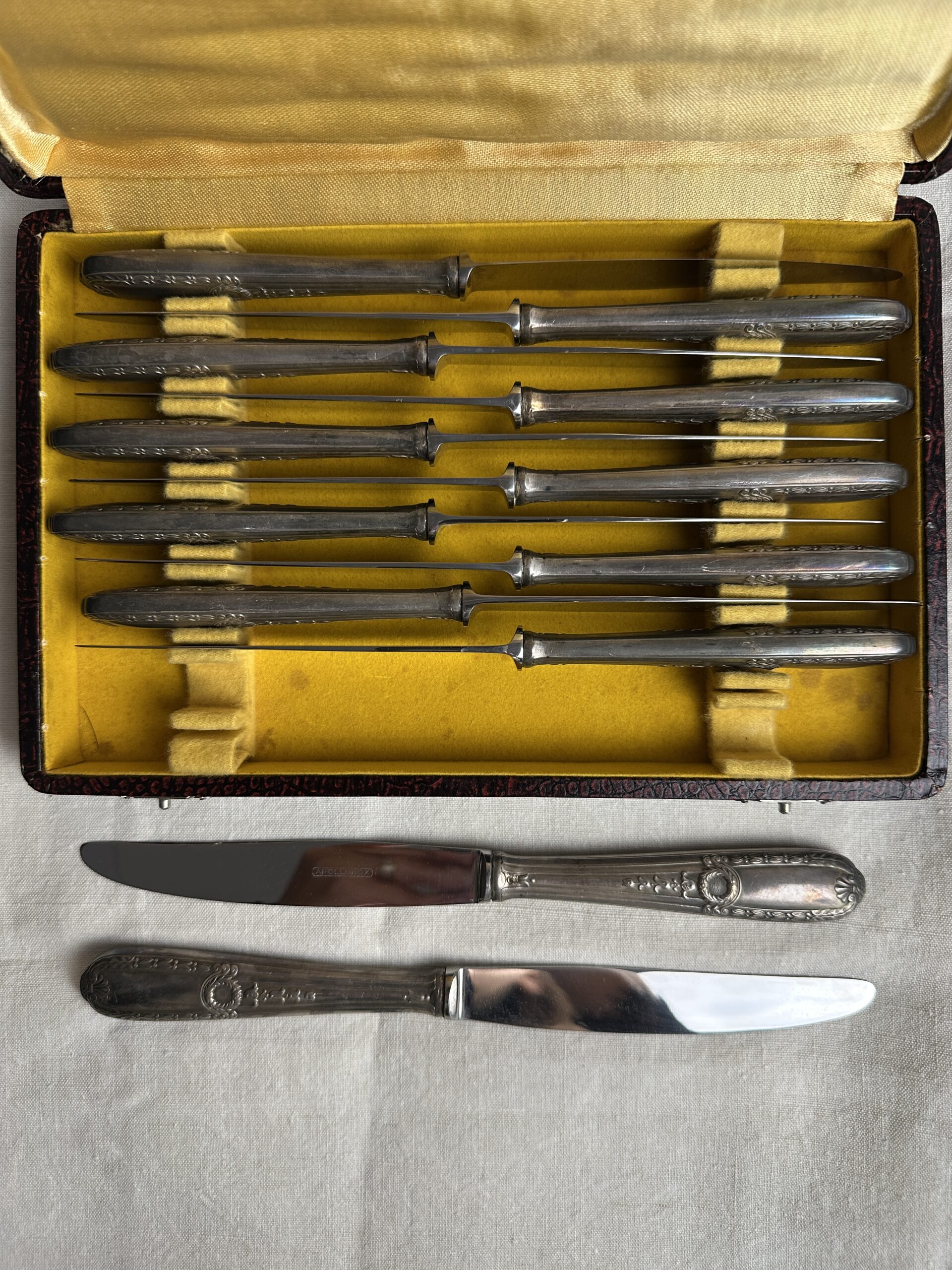 Coffret de 12 couteaux Apollonox