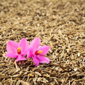 Cumin d&rsquo;Orient