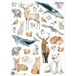 30 gommettes Animaux