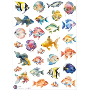 28 autocollants Poissons