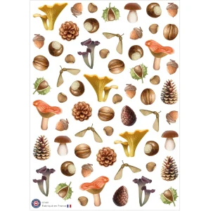 62 stickers trésors d’automne