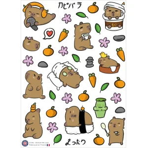 40 stickers capybara cute