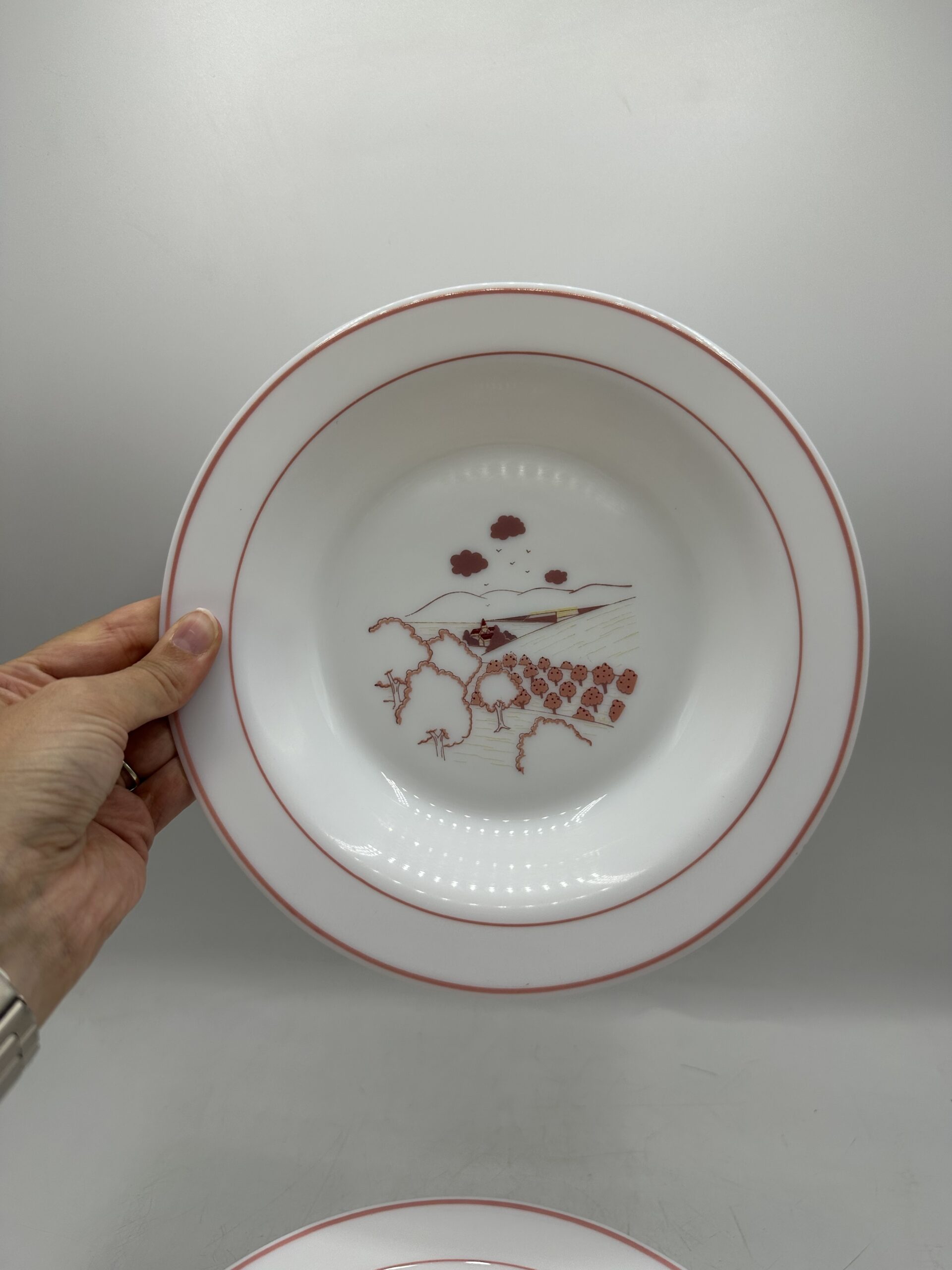 Service 14 assiettes Arcopal champêtre – Image 3