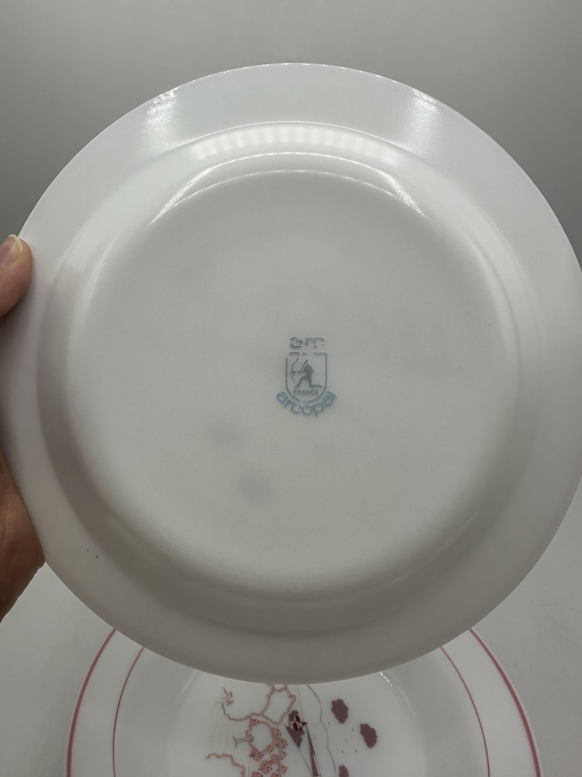 Service 14 assiettes Arcopal champêtre – Image 4