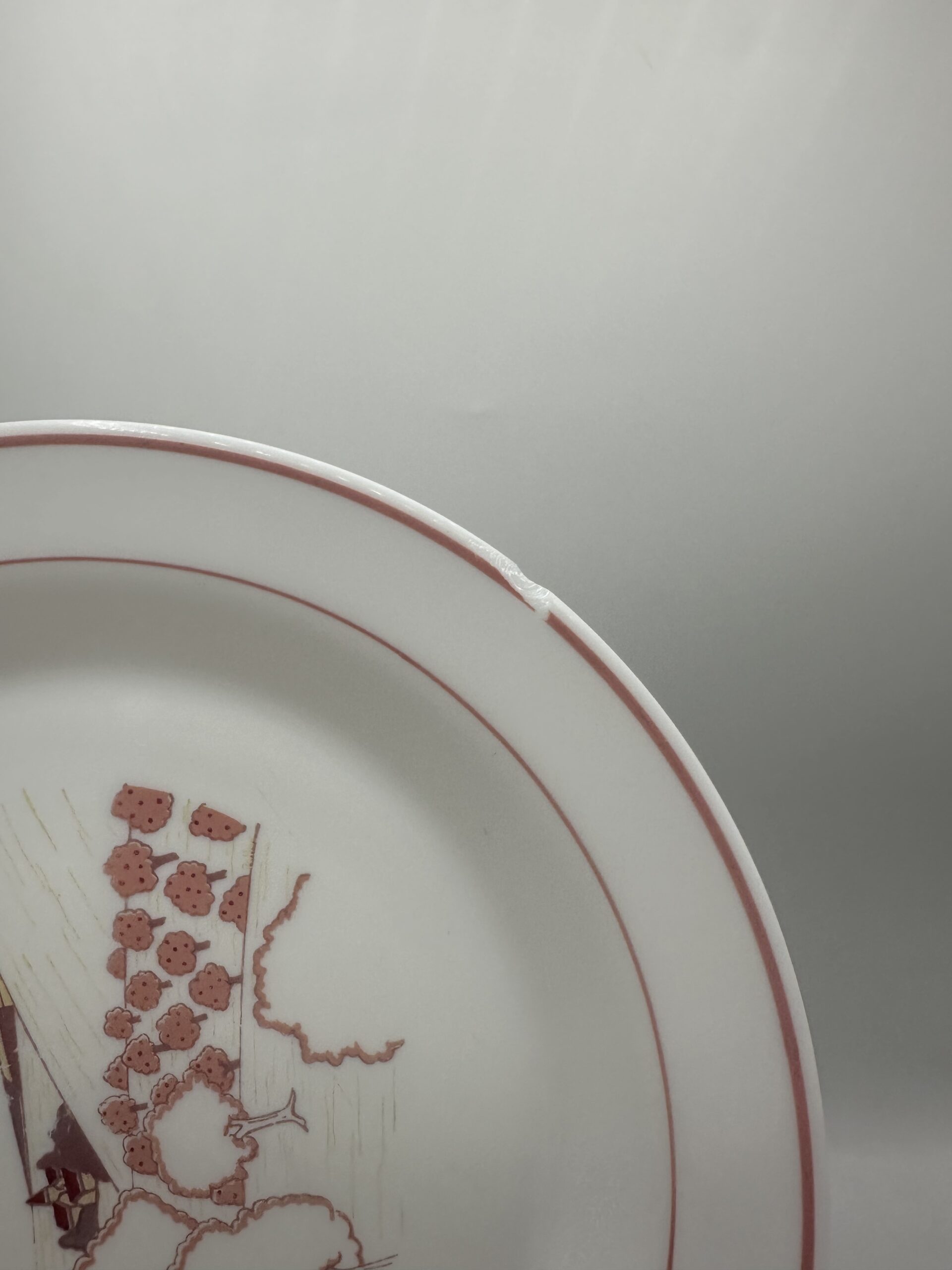 Service 14 assiettes Arcopal champêtre – Image 5