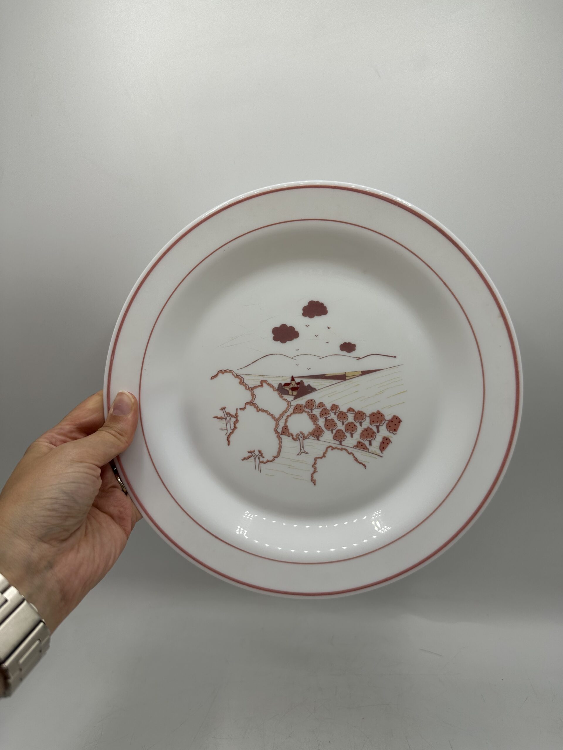 Service 14 assiettes Arcopal champêtre – Image 6