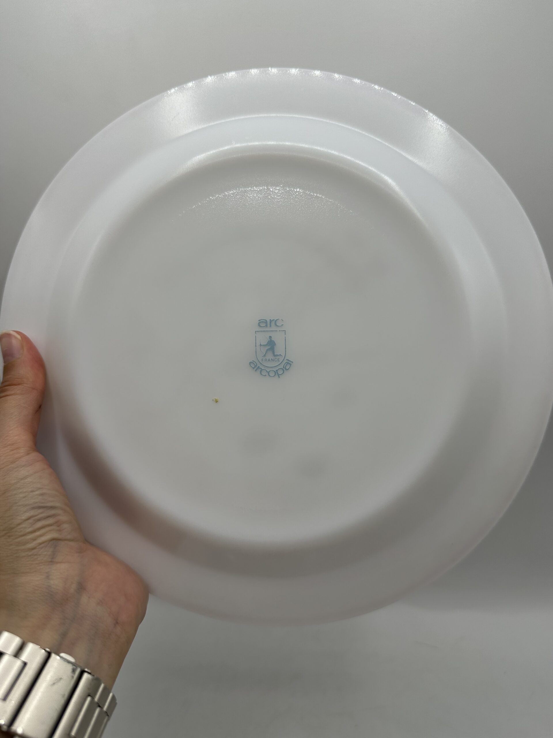 Service 14 assiettes Arcopal champêtre – Image 7