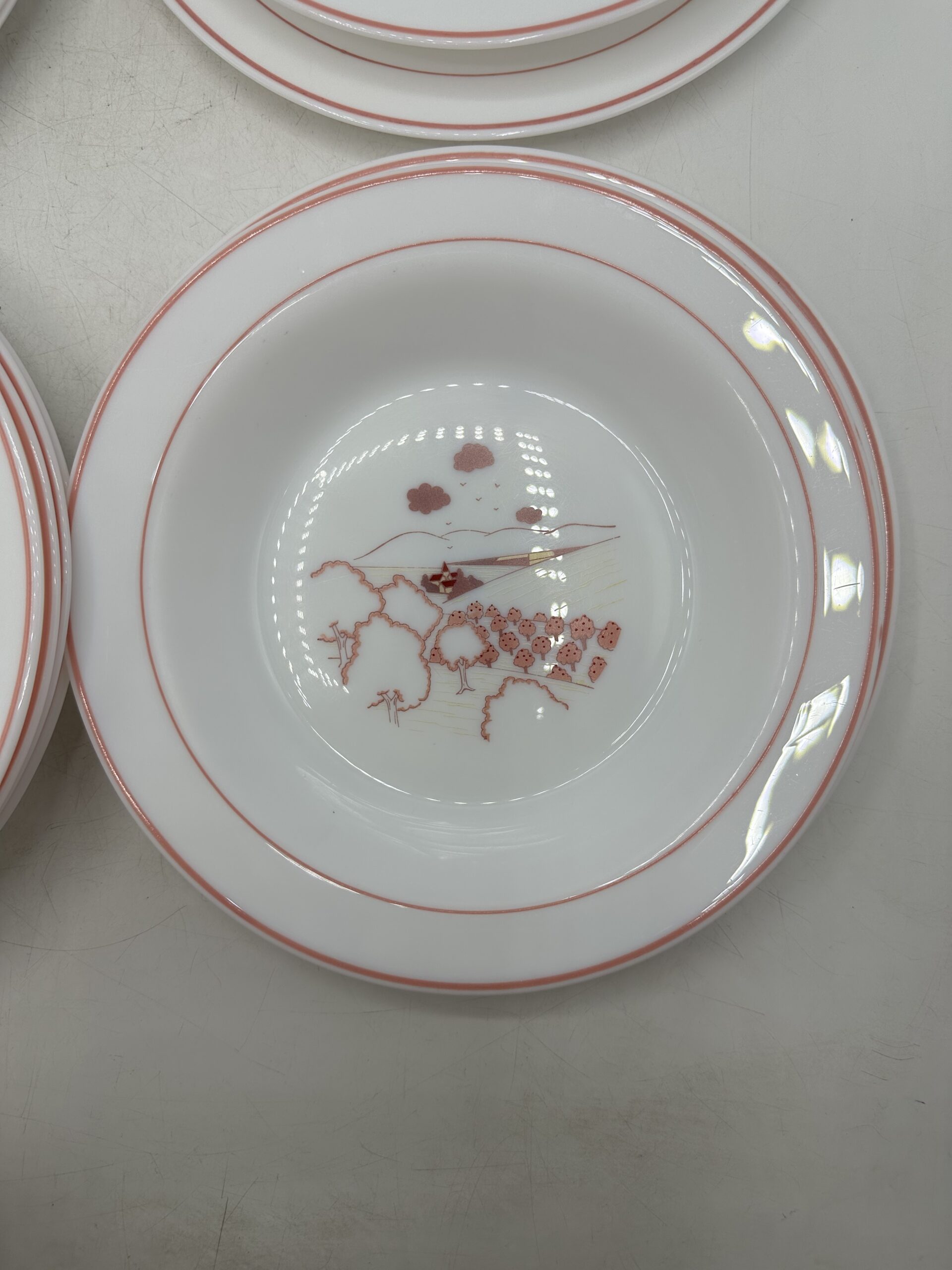 Service 14 assiettes Arcopal champêtre – Image 9