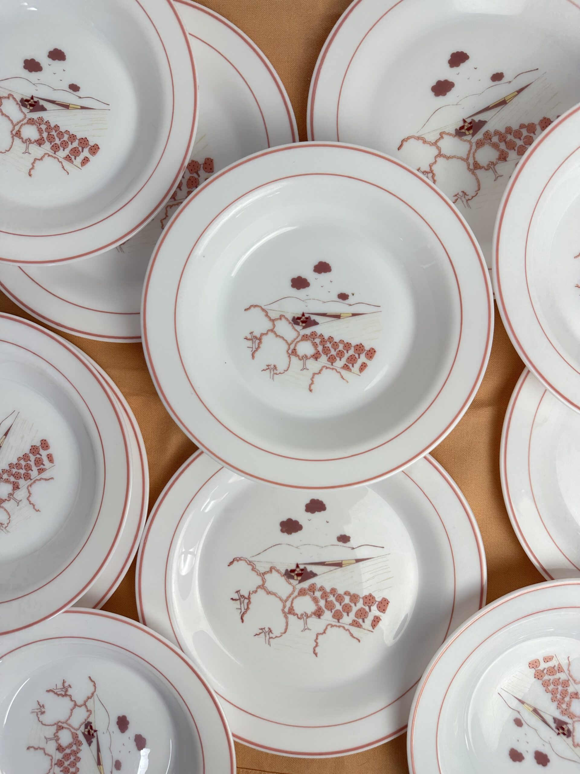 Service 14 assiettes Arcopal champêtre