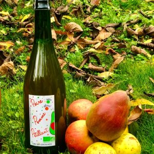 🍀 Jus Pétillant BIO – Gaec des centaurées