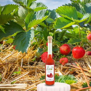 Sternenfeld Limo Fraise