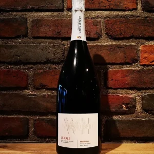 Champagne Waris Hubert – Lilyale – Magnum