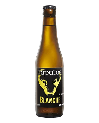 Lupulus Blanche