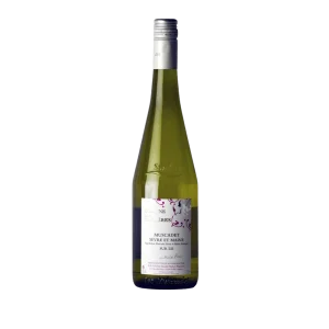 AOP Muscadet Sèvre et Maine sur Lie – Les Raillères
