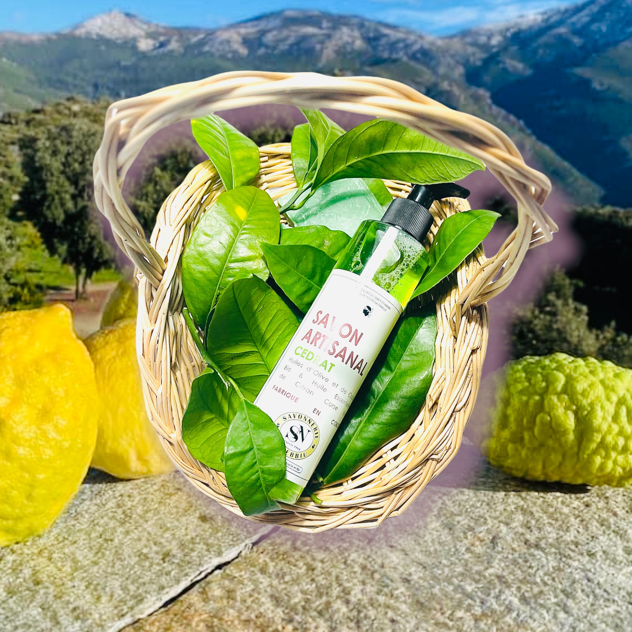 Savon liquide au cédrat Corse (gel douche) – Image 2