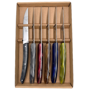 Coffret de 6 Couteaux Le Thiers® lame lisse et manches en plexiglass couleurs automne – BJB