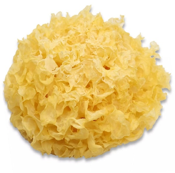 Trémelle en fuseau (银木耳) 100g