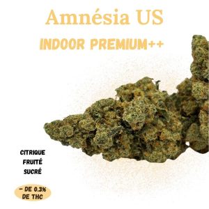 AMNESIA US – Fleur de CBD – Indoor Premium++ – A Infuser
