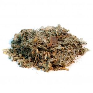 Artichaut – feuille