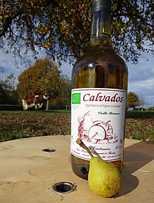 ☘️ Calvados Domfrontais / de Poiré BIO