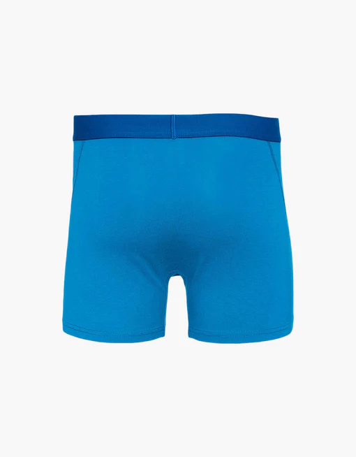 Boxer – Pacific Blue – Image 2