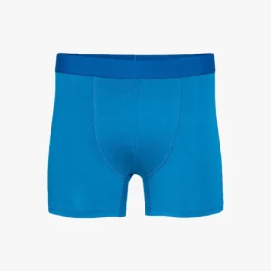 Boxer – Pacific Blue