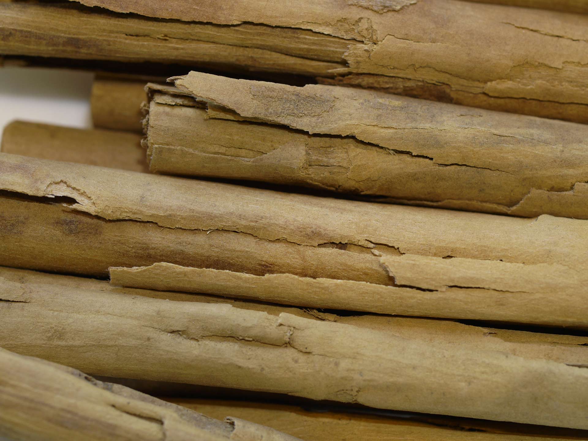 Cannelle tuyau Bio – Image 2