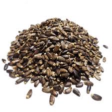 Chardon marie – graine entière