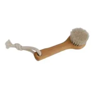 Brosse visage FSC