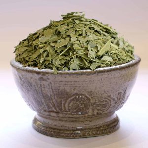 Eucalyptus feuilles Bio