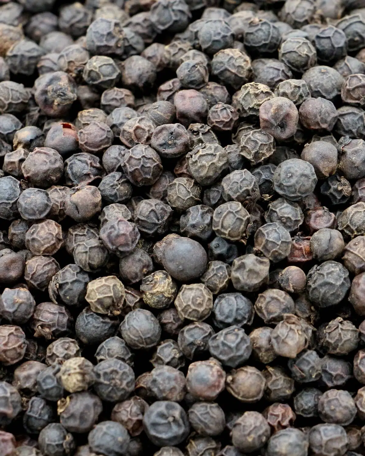Poivre noir concassé de Kampot (mignonette) – Image 2