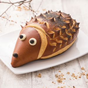 Hérisson garni 50 toasts