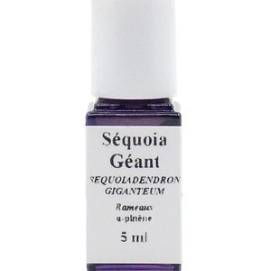 Séquoia géant sauvage huile essentielle HECT 5 ml