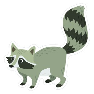 Stickers raton laveur