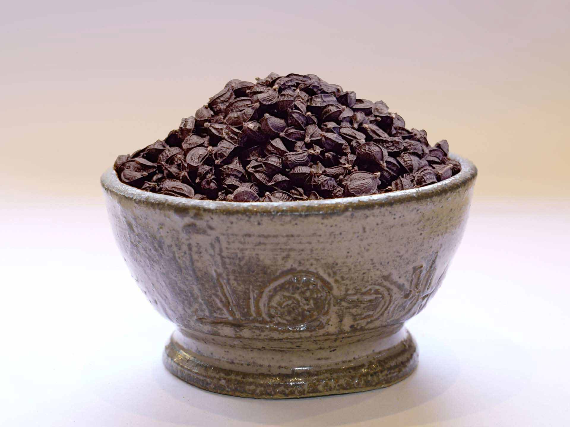 Maceron Bio (poivre des marais)