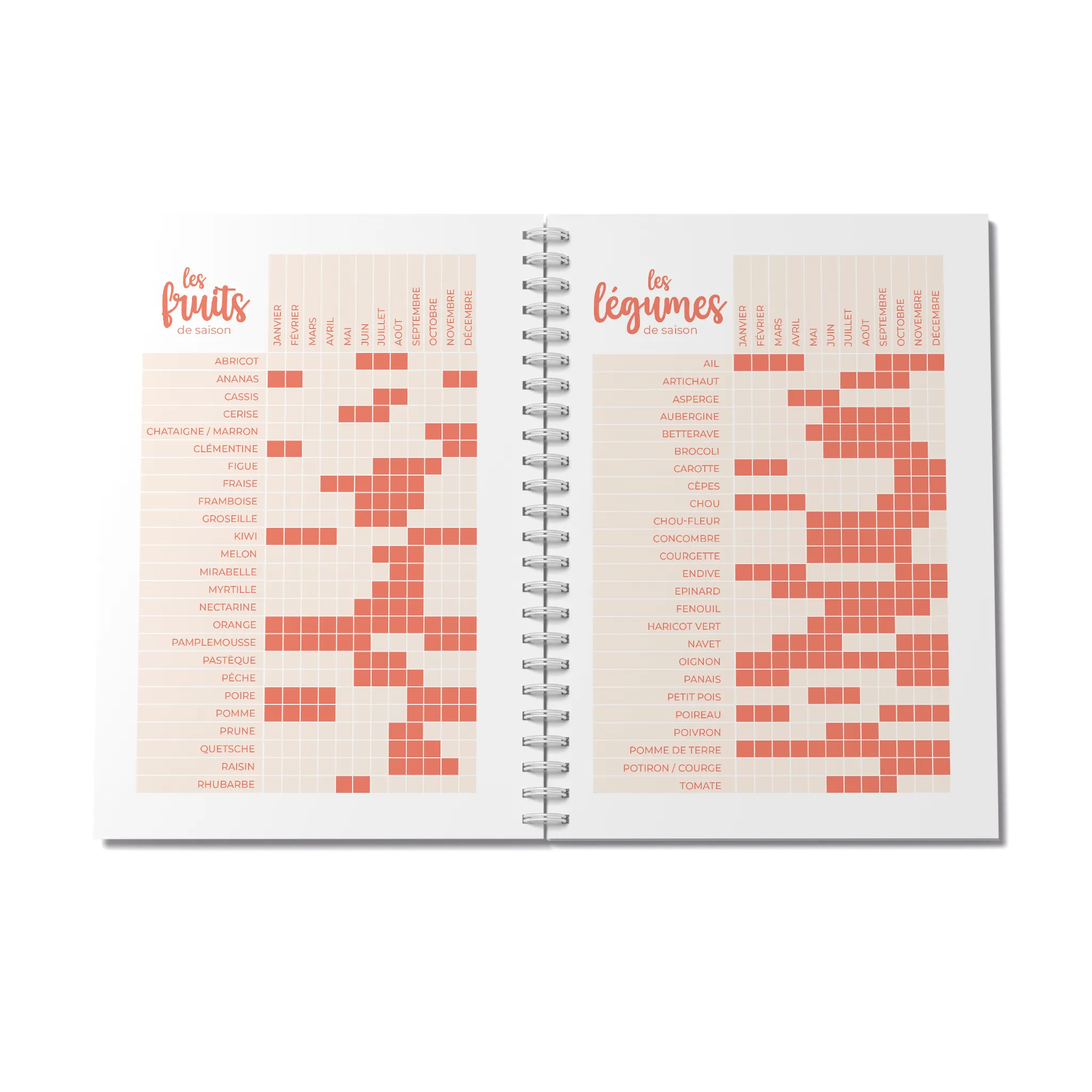 Carnet de recettes à remplir – Vitamines agrumes – Image 5