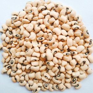 Niébé (Haricot cornille)