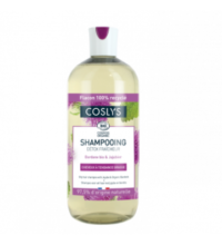 Shampooing détox fraîcheur 500 ml
