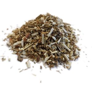 Vergerette du Canada – partie aérienne