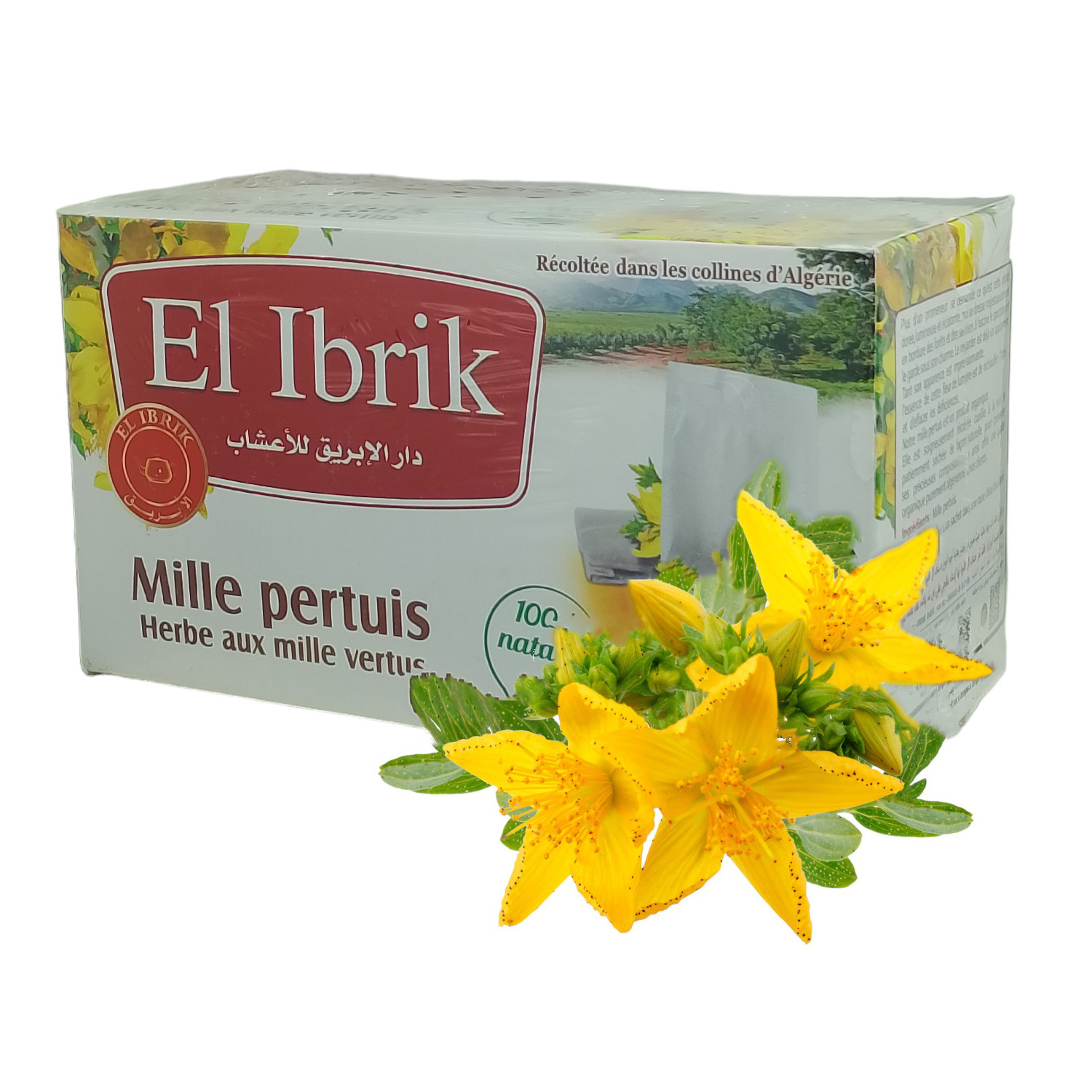 Tisane Millepertuis en Sachet d’Infusions 25 Sachets de 1.5g