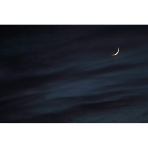 « Cérémonie pour une jeune lune 4 »
